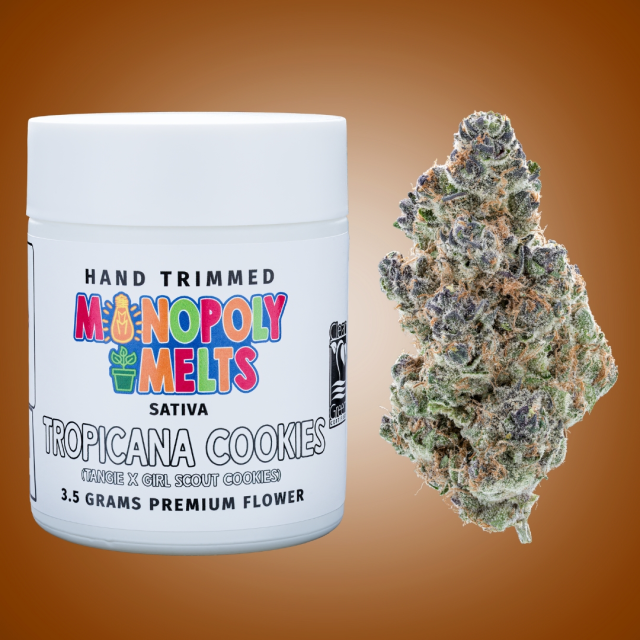 Home Monopoly Melts Flower